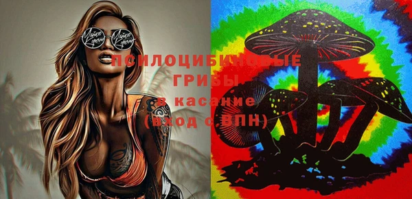 спиды Балахна